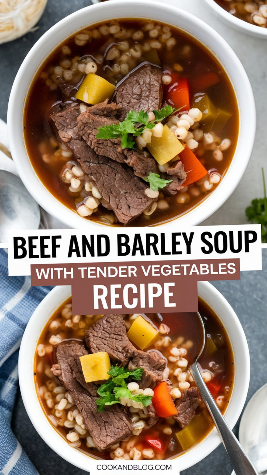 Beef and Barley Soup with Tender Vegetables Recipe Beef and Barley Soup with Tender Vegetables Recipe