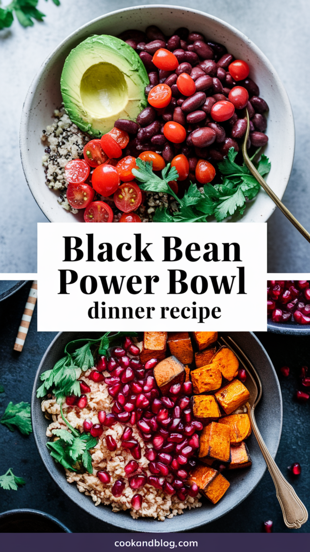 Black Bean Power Bowl Dinner Recipe Black Bean Power Bowl Dinner Recipe