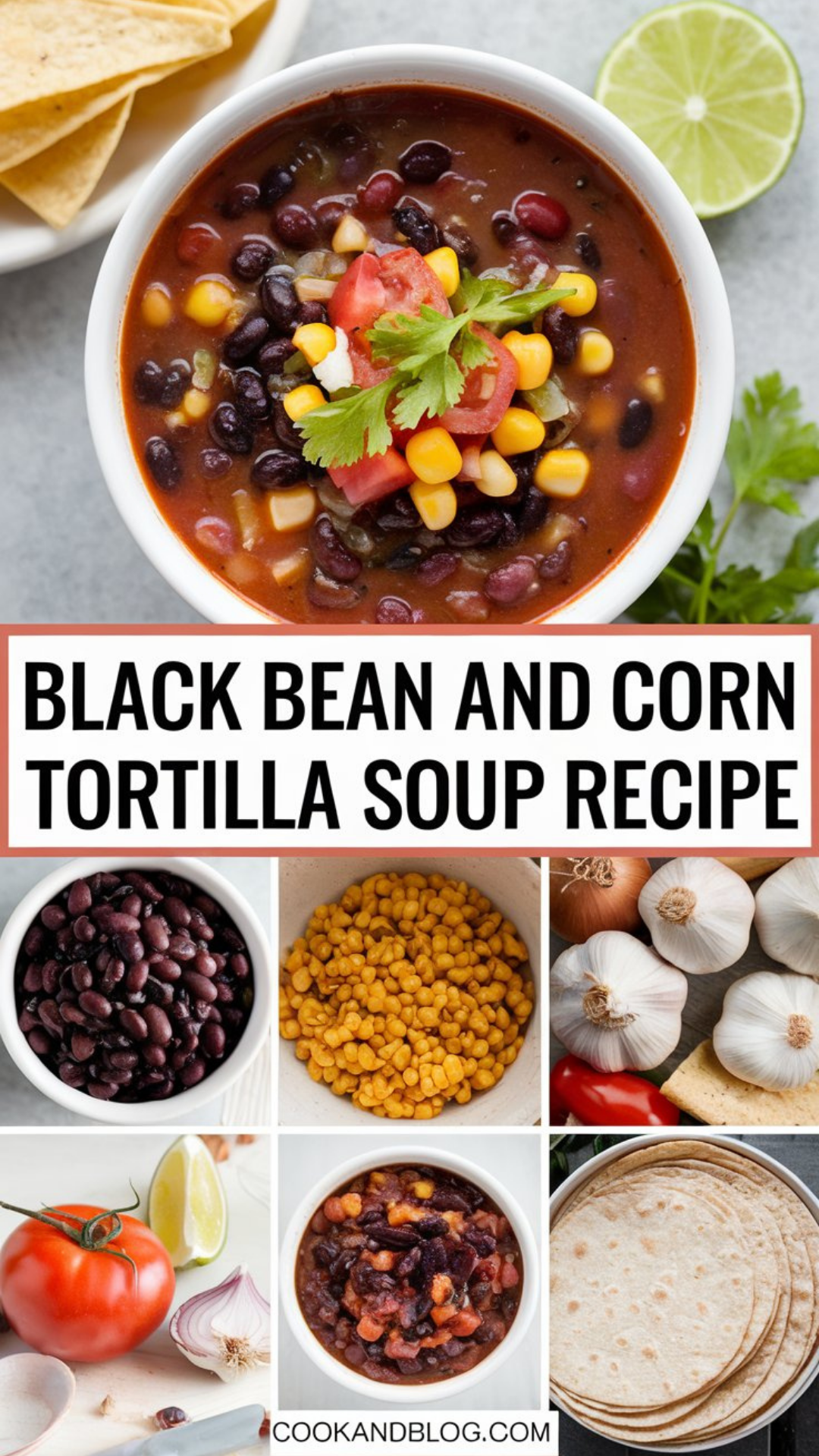 Black Bean and Corn Tortilla Soup Recipe Black Bean and Corn Tortilla Soup Recipe