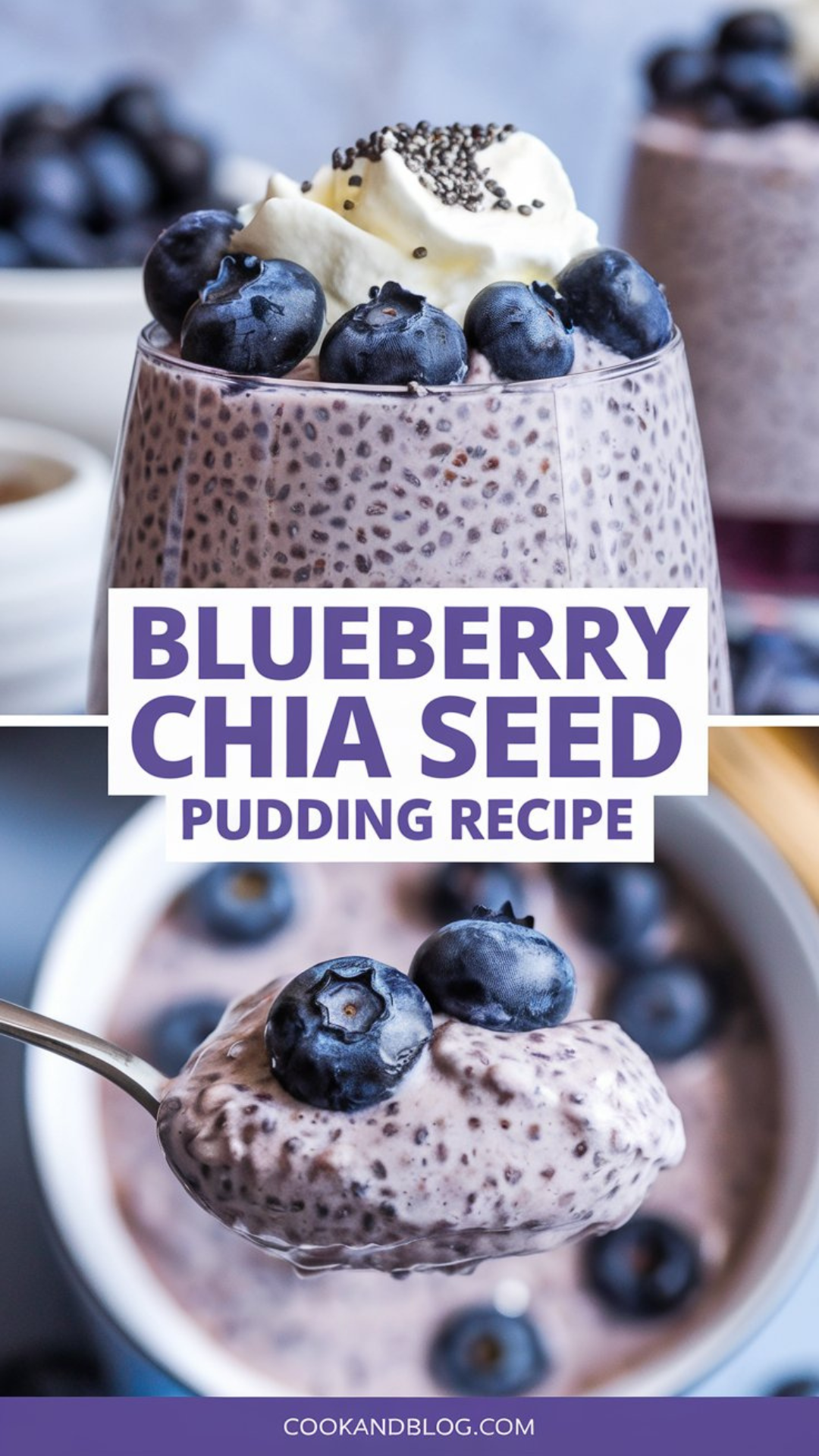 Blueberry Chia Seed Pudding Recipe Blueberry Chia Seed Pudding Recipe