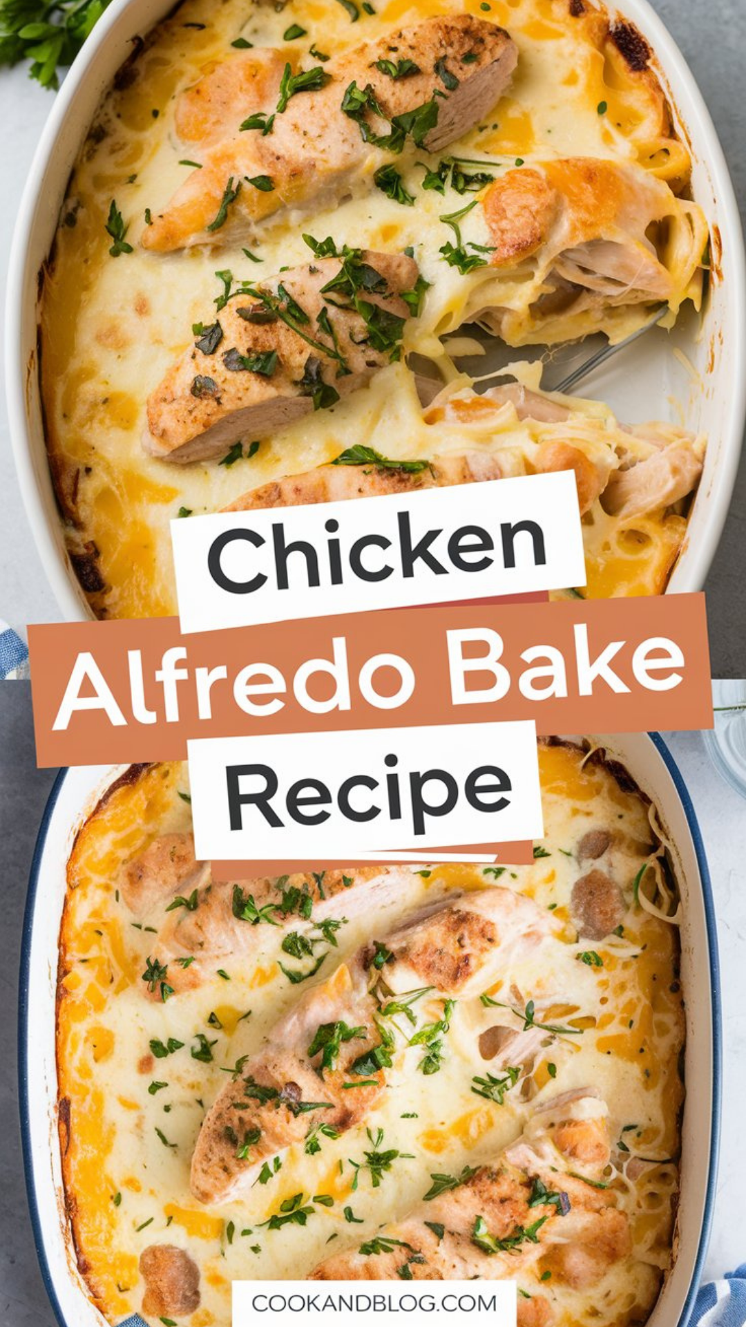 Chicken Alfredo Bake Recipe Chicken Alfredo Bake Recipe