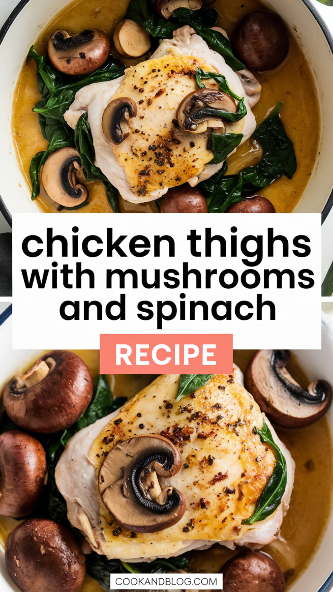 Chicken Thighs with Mushrooms and Spinach Recipe Chicken Thighs with Mushrooms and Spinach Recipe