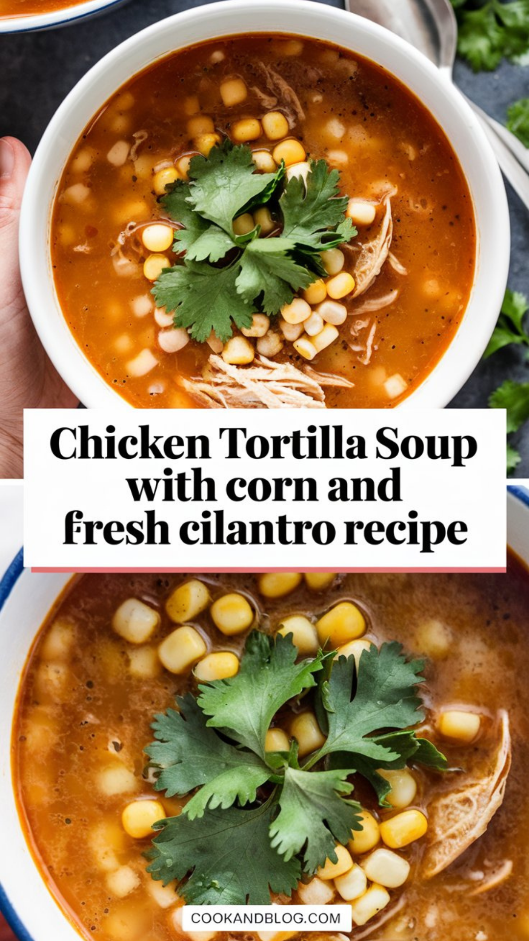 Chicken Tortilla Soup with Corn and Fresh Cilantro Recipe Chicken Tortilla Soup with Corn and Fresh Cilantro Recipe
