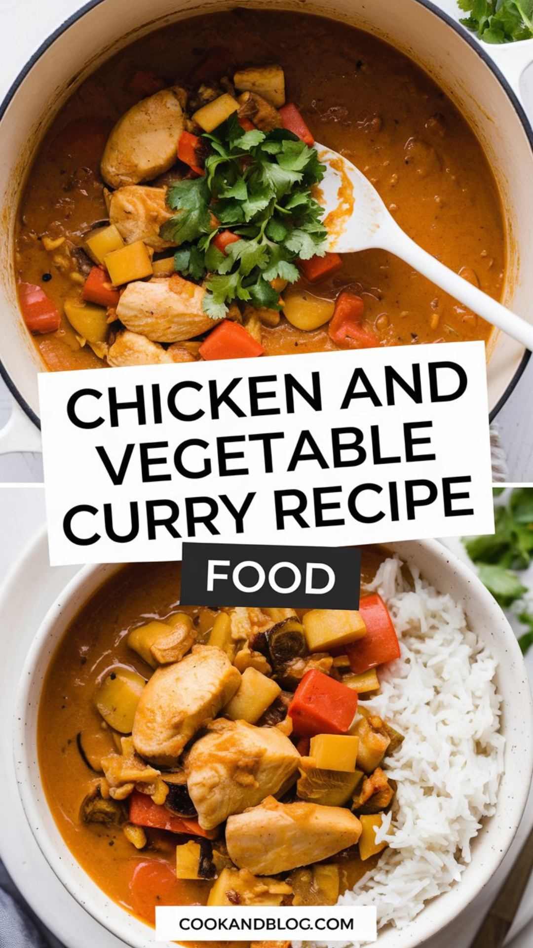 Chicken and Vegetable Curry Recipe Chicken and Vegetable Curry Recipe