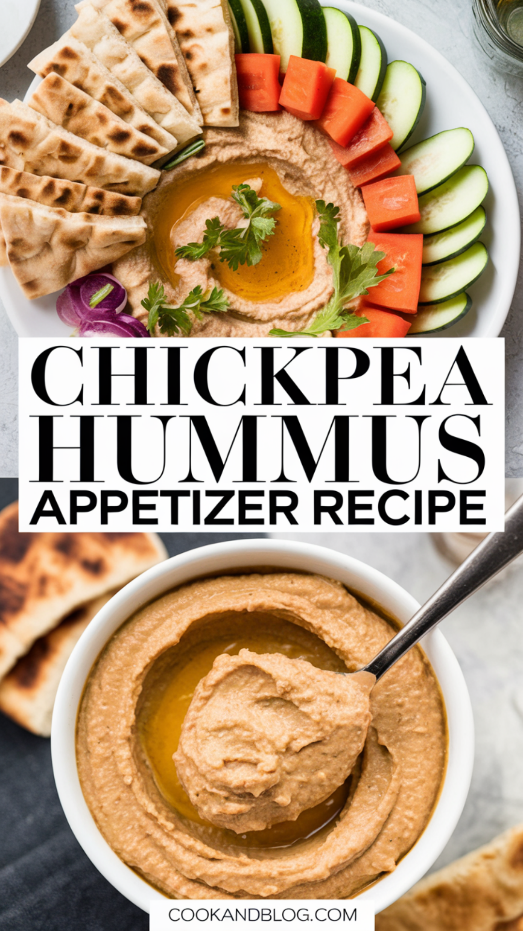 Chickpea Hummus Appetizer Recipe Chickpea Hummus Appetizer Recipe