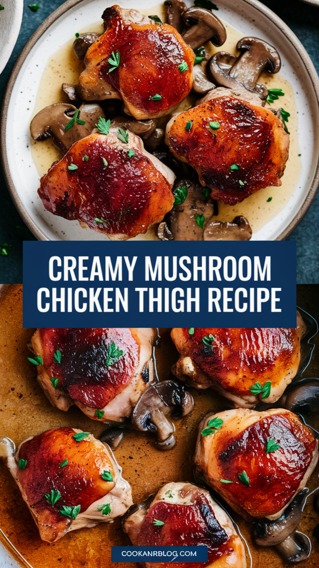 Creamy Mushroom Chicken Recipe Creamy Mushroom Chicken Recipe