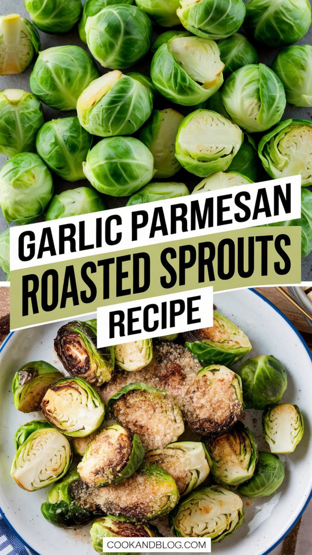 Garlic Parmesan Roasted Brussel Sprouts Recipe Garlic Parmesan Roasted Brussel Sprouts Recipe