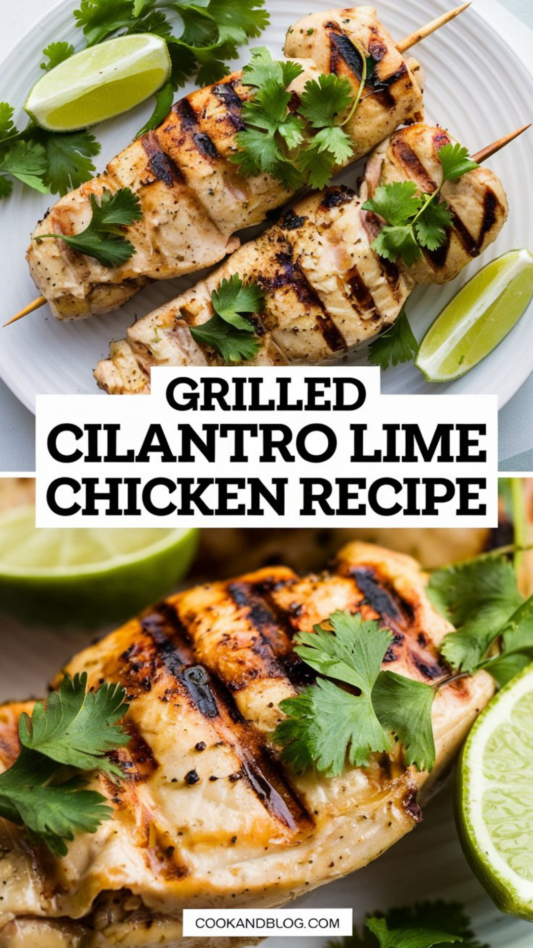 Grilled Cilantro Lime Chicken Recipe Grilled Cilantro Lime Chicken Recipe
