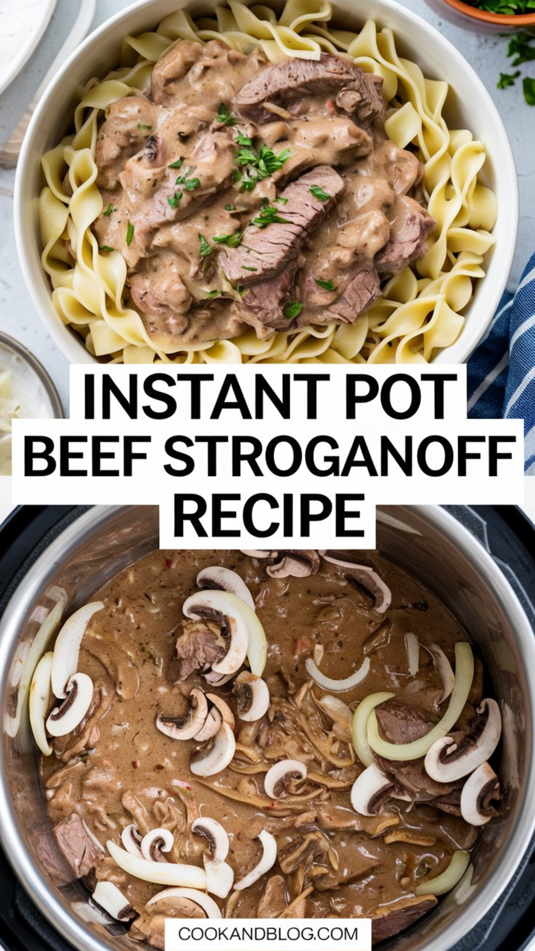 Instant Pot Beef Stroganoff Recipe