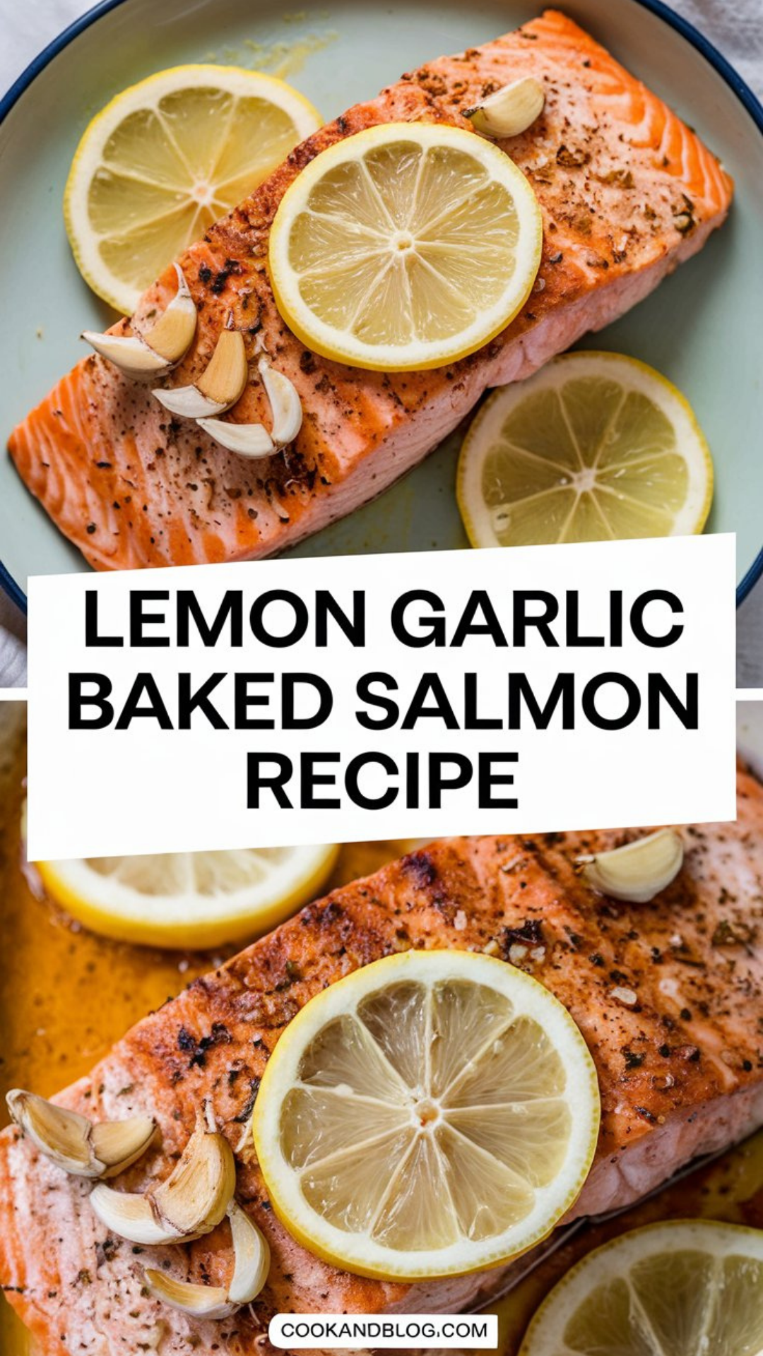 Lemon Garlic Baked Salmon Recipe Lemon Garlic Baked Salmon Recipe