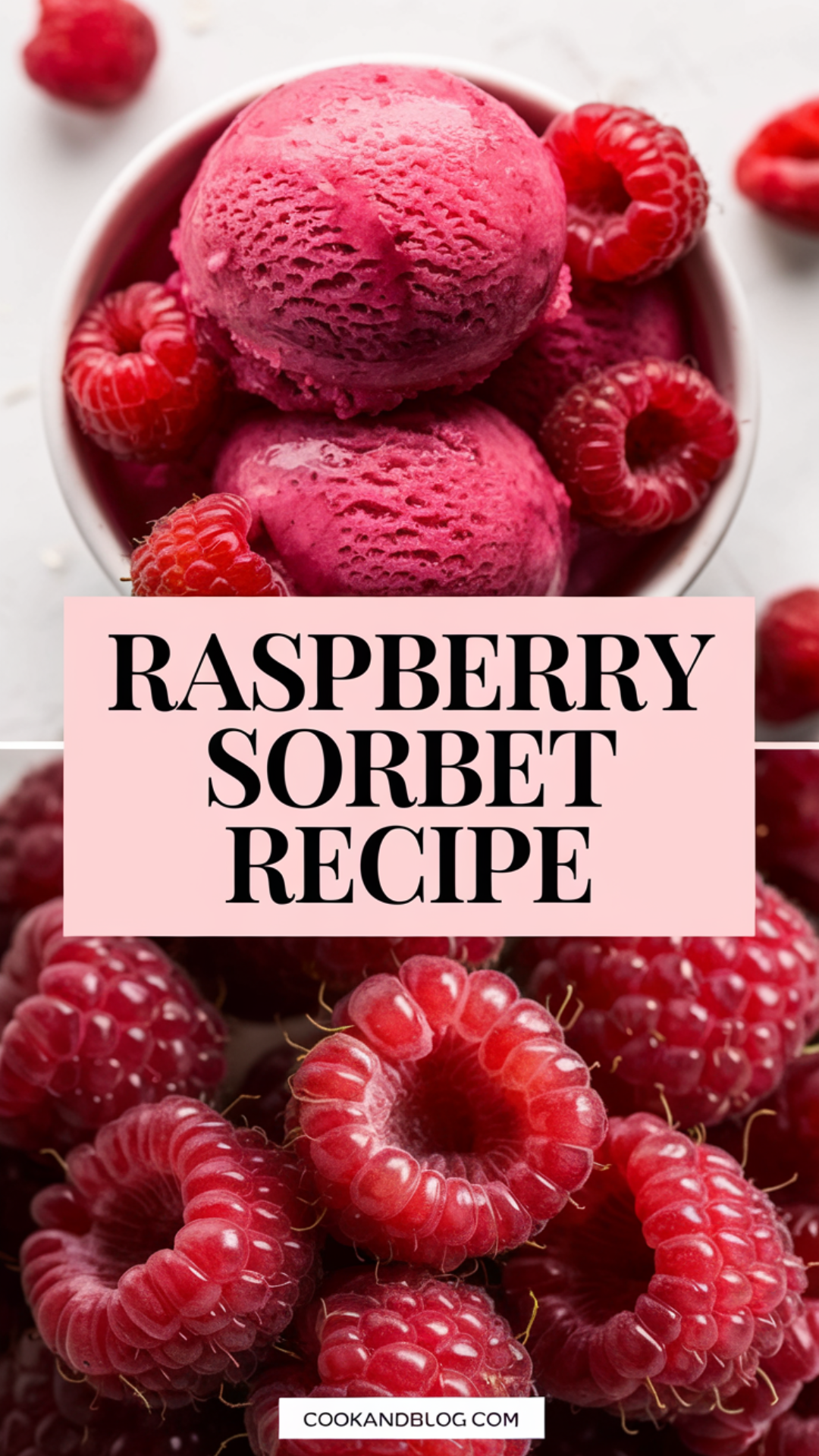 Raspberry Sorbet Recipe Raspberry Sorbet Recipe
