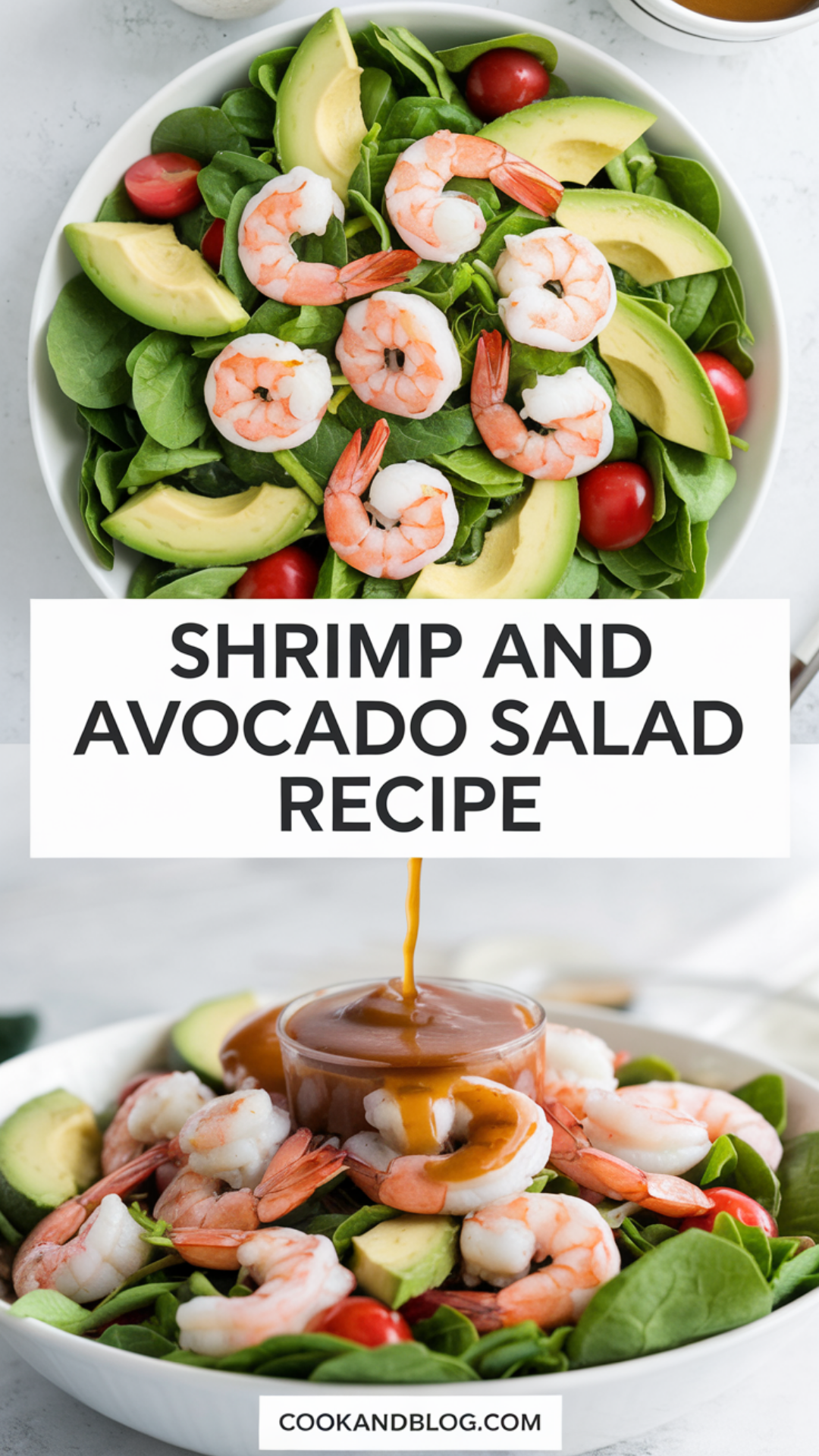 Shrimp and Avocado Salad Recipe