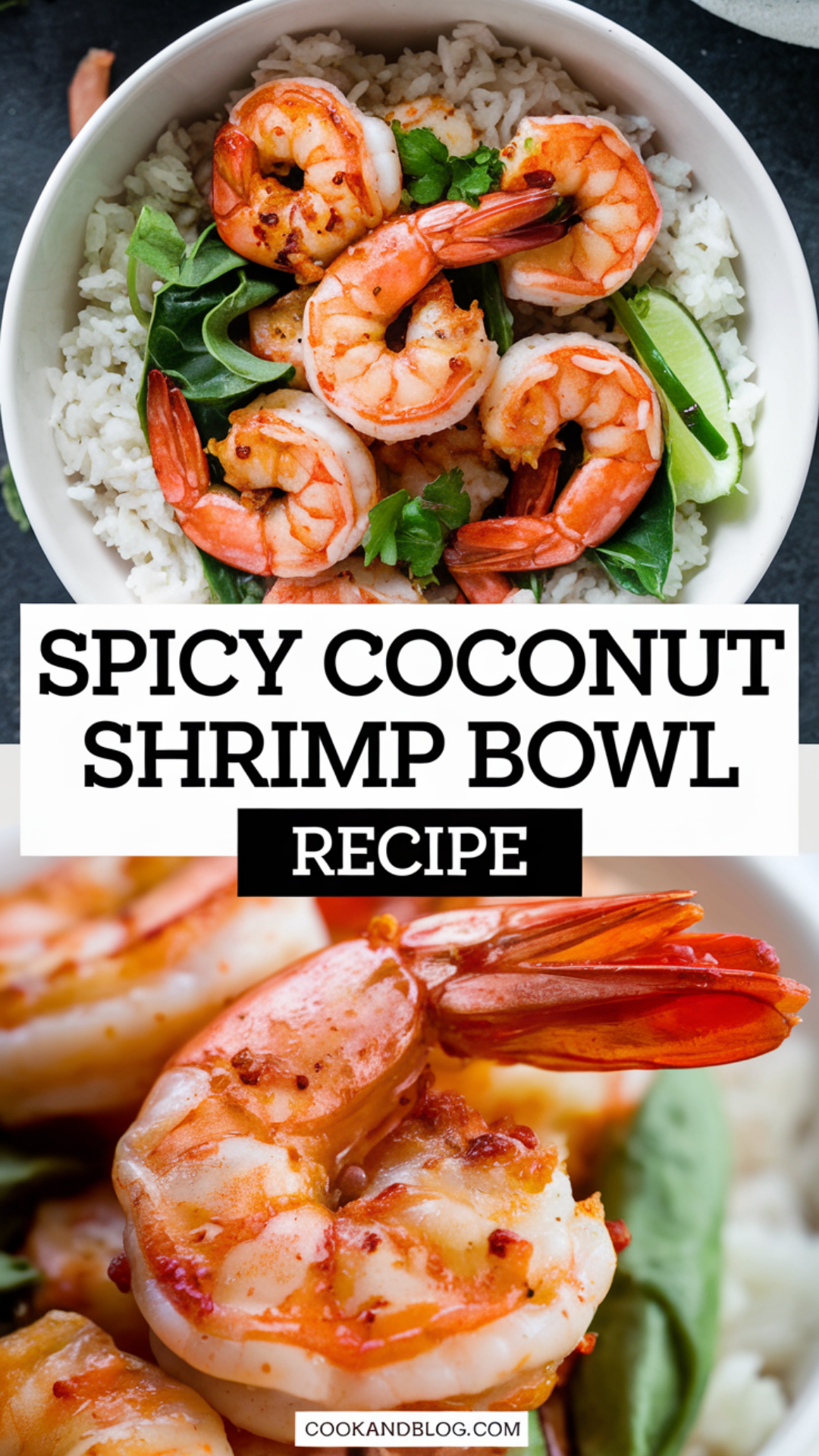 Spicy Coconut Shrimp Bowl Recipe