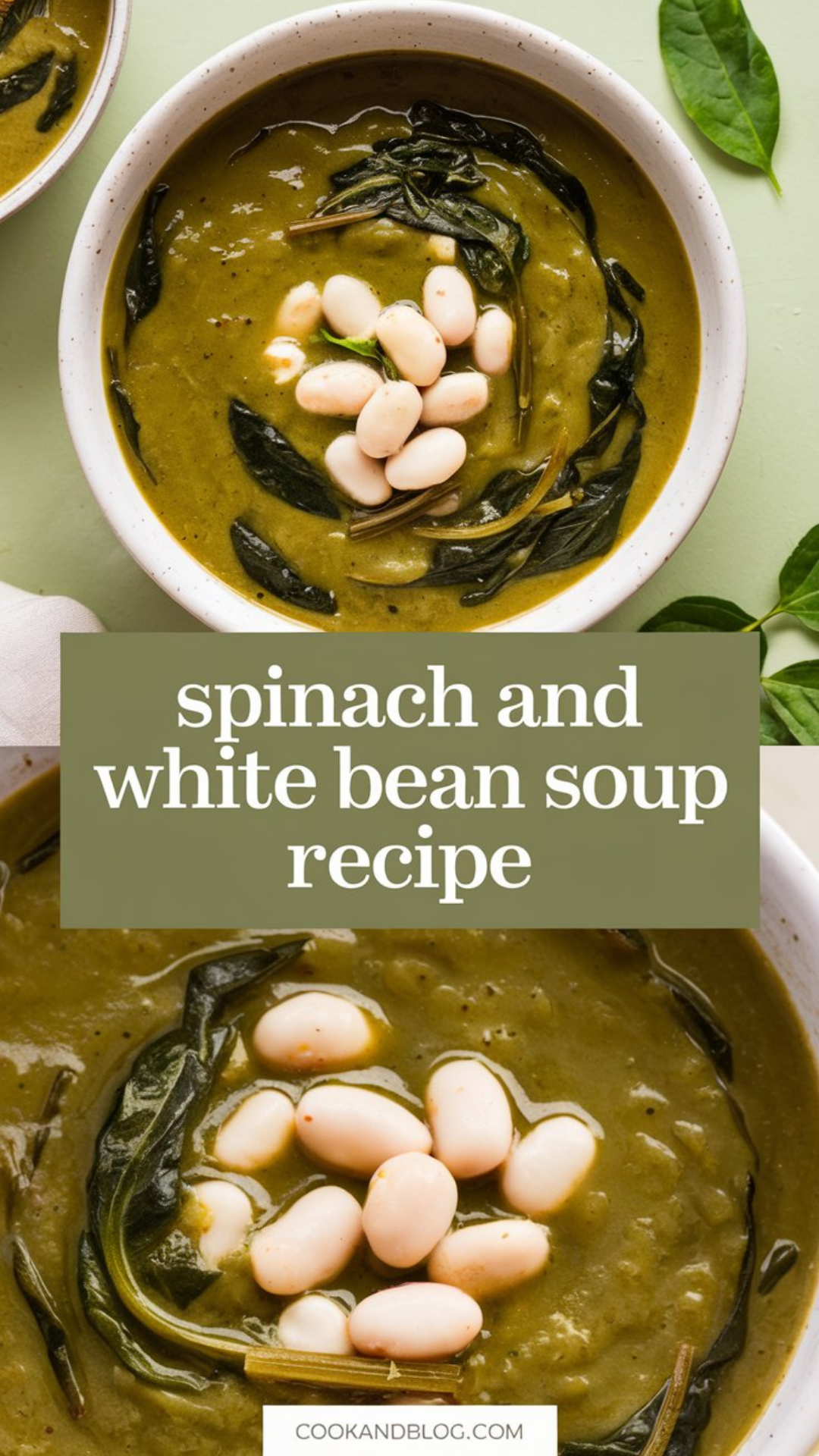 Spinach and White Bean Soup Recipe Spinach and White Bean Soup Recipe