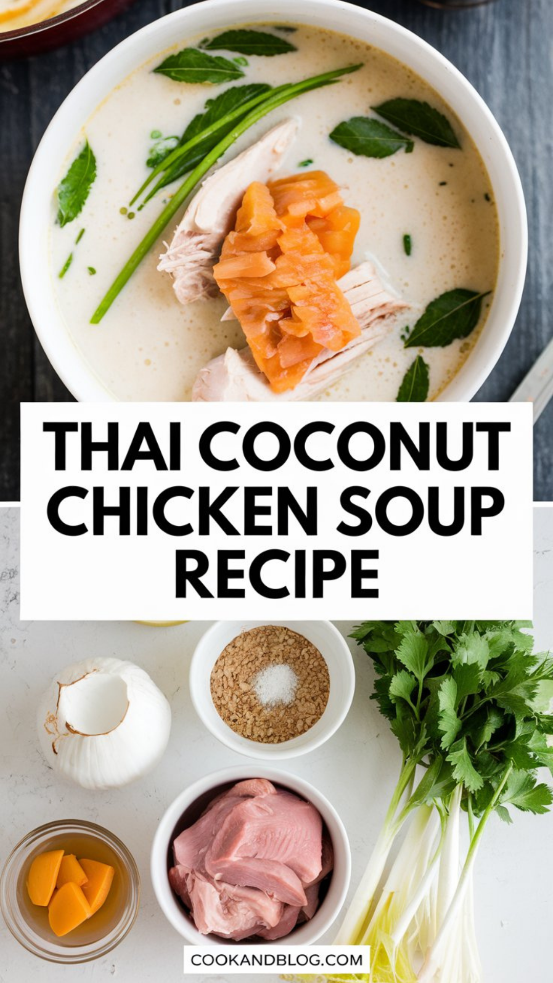 Thai Coconut Chicken Soup Recipe Thai Coconut Chicken Soup Recipe