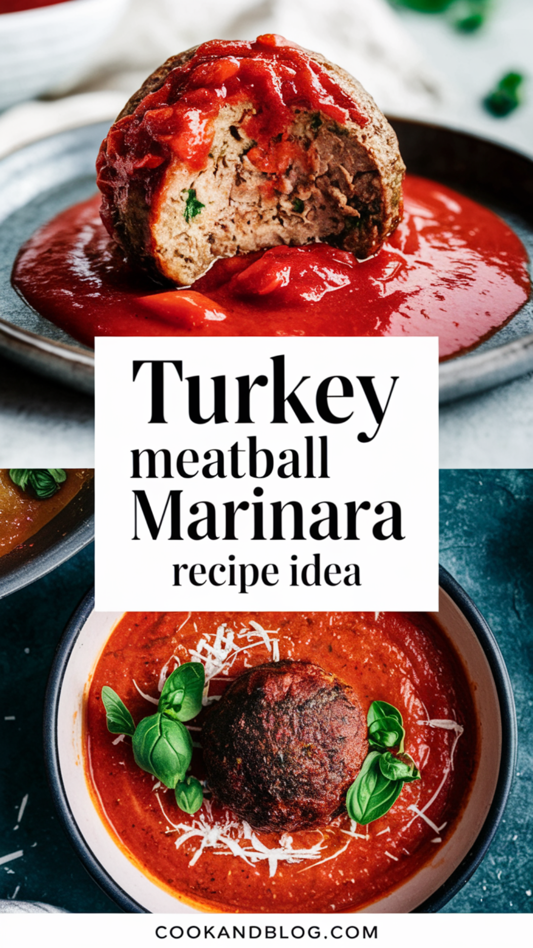 Turkey Meatball Marinara Recipe Idea Turkey Meatball Marinara Recipe Idea