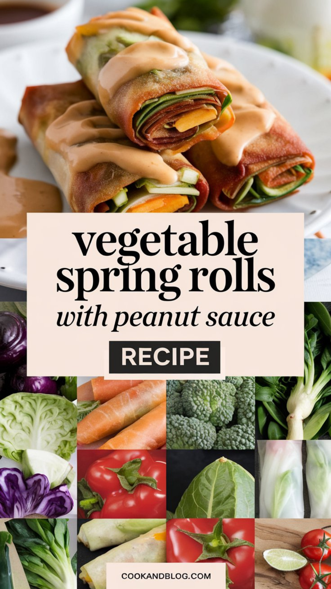 Vegetable Spring Rolls with Peanut Sauce Recipe Vegetable Spring Rolls with Peanut Sauce Recipe